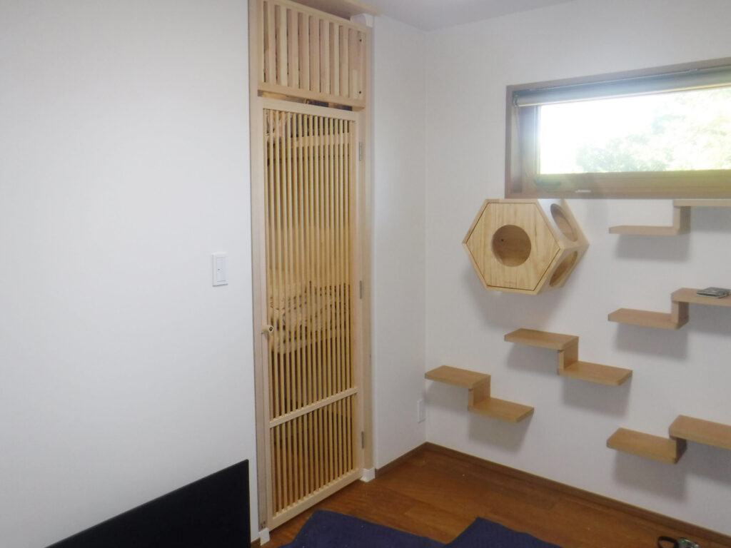 まるで猫カフェ！猫ちゃんとご家族がともに楽しむ家