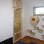 まるで猫カフェ!猫ちゃんとご家族がともに楽しむ家 まるで猫カフェ!猫ちゃんとご家族がともに楽しむ家